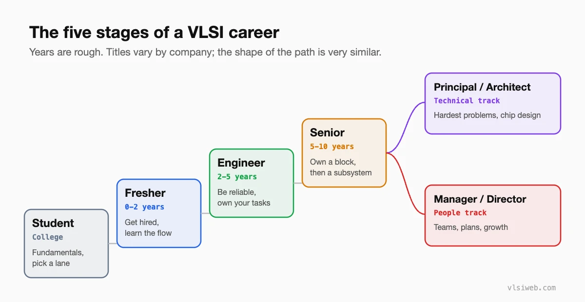 VLSI career ladder: student, fresher (0 to 2 years), engineer (2 to 5 years), senior engineer (5 to 10 years), then principal or architect on the technical track, or manager on the people track